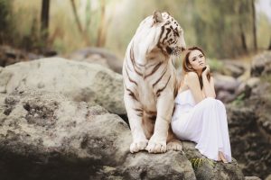 Advanced Best Live Dragon Tiger Online: Step-by-Step Guide for India (2026)
